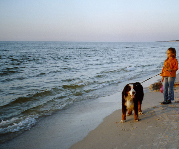 ROSAGOS