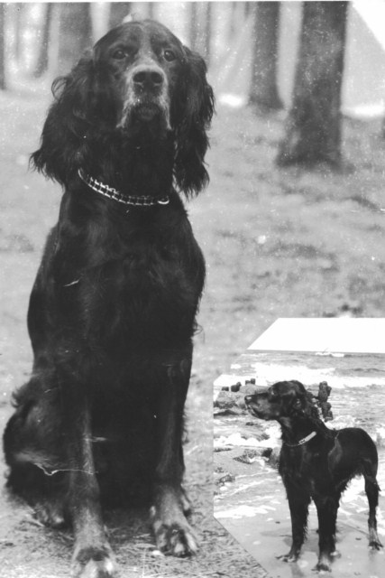ROSAGOS